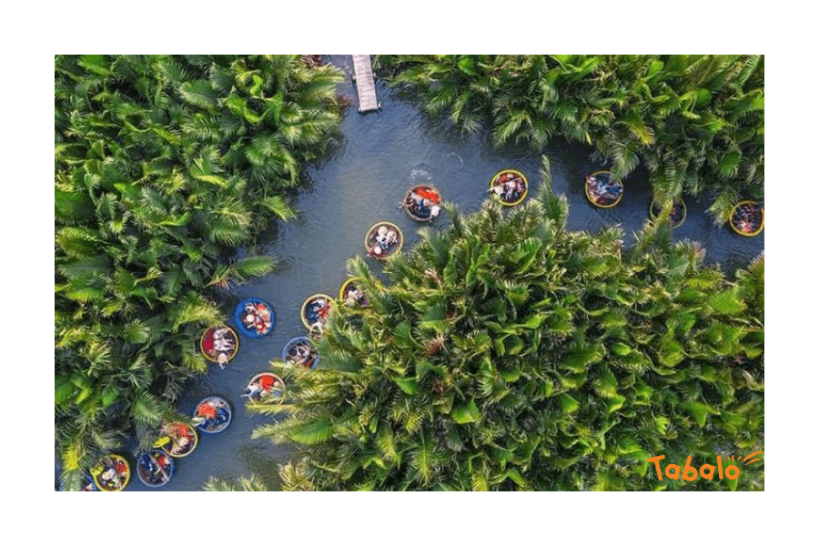 Rừng dừa bảy màu